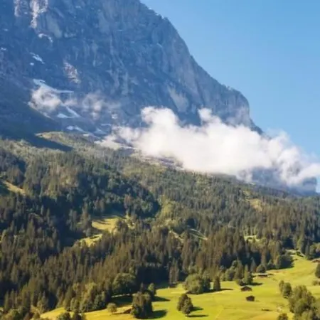 Bei Der Arve 4 Bett By Interhome Grindelwald