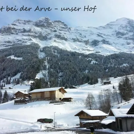 アパート Bei Der Arve 4 Bett By Interhome
