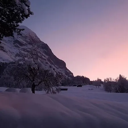 Apartment Bei Der Arve 4 Bett By Interhome