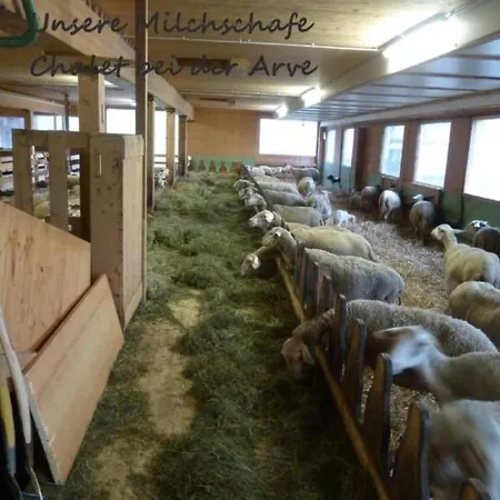 Bei Der Arve 4 Bett By Interhome Apartment *