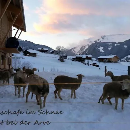 アパート Bei Der Arve 4 Bett By Interhome *