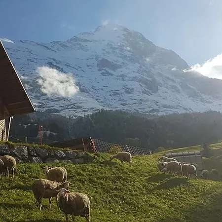 Apartment Bei Der Arve 4 Bett By Interhome