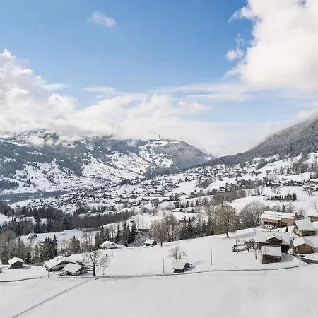 Apartment Bei Der Arve 4 Bett By Interhome