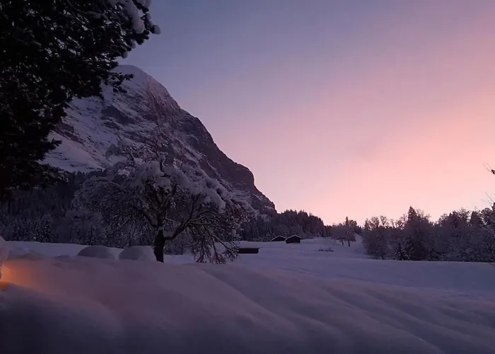 Lägenhet Bei Der Arve 4 Bett By Interhome