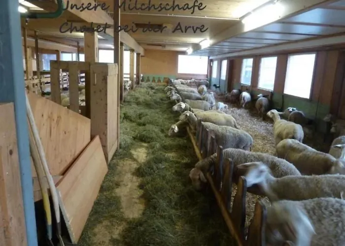 Bei Der Arve 4 Bett By Interhome Lägenhet *