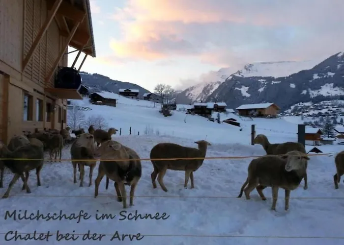 Lägenhet Bei Der Arve 4 Bett By Interhome *