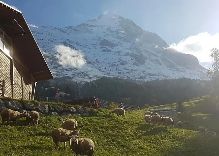 Lägenhet Bei Der Arve 4 Bett By Interhome